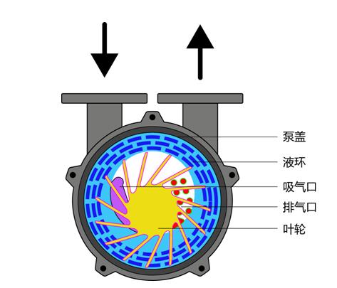 液环真空泵工作原理图