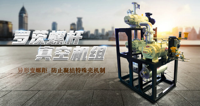 罗茨螺杆真空泵机组