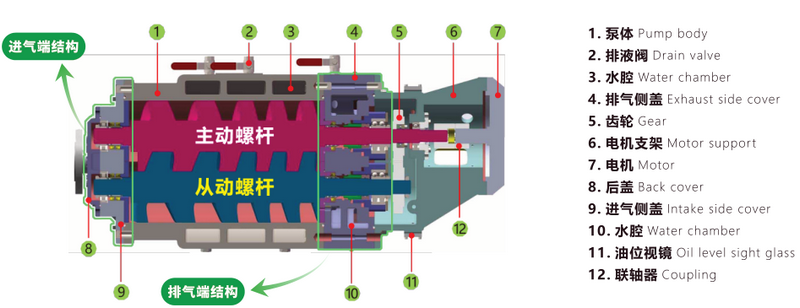 螺杆泵内部结构图